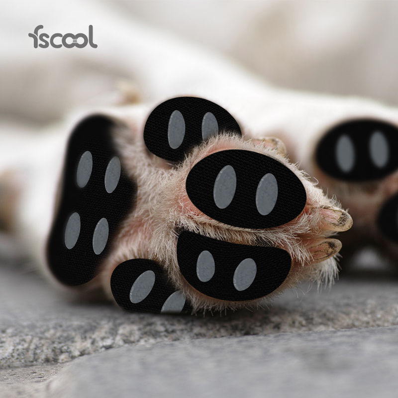 Anti Slip Paws Protection Dog For Senior And Speci